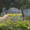 PMMA material round shape diameter 180mm spot fresnel lens ,acrylic fresnel lens,lentille de fresnel